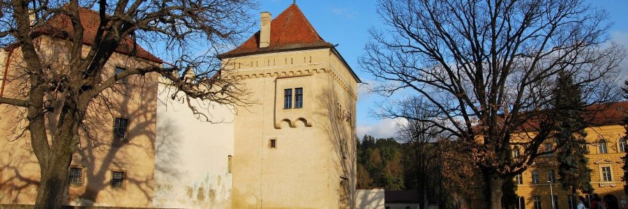 Konferenz zur Zukunft des Deutsch-Unterrichts Konferenz zur Zukunft des Deutsch-Unterrichts