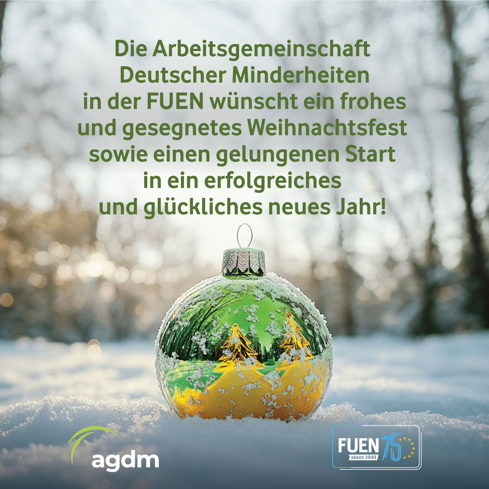 Die AGDM wünscht frohe und gesegnete Weihnachten!